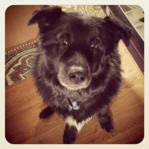 Image 6-1-15 at 3.53 PM